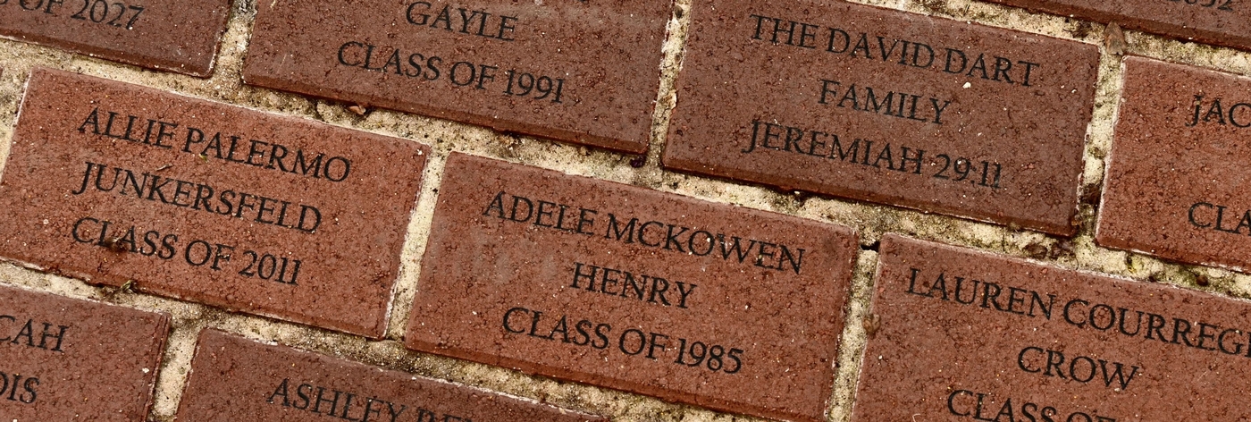 Photo of bricks with custom messages