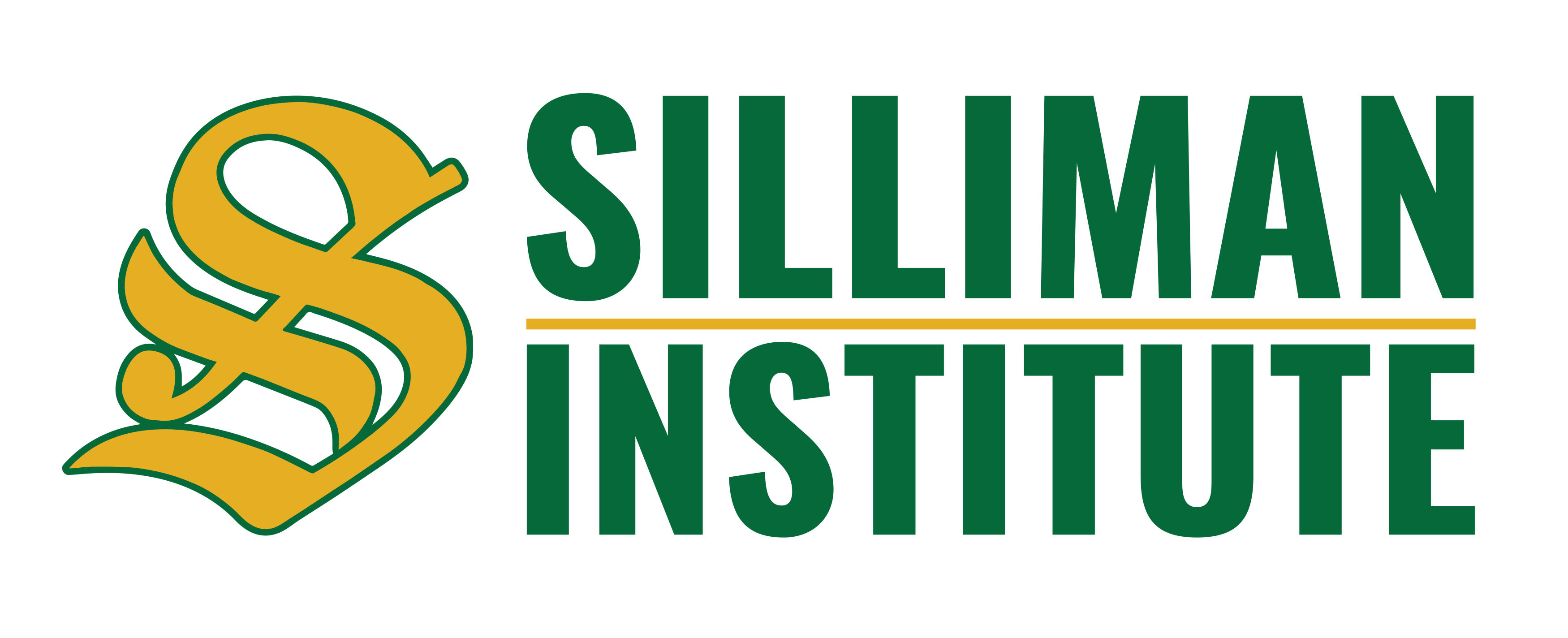 Footer Logo - Silliman Institute